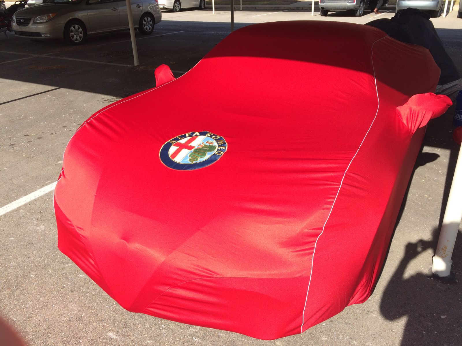 Illustration for article titled Alfa Romeo 4C Picture Dump