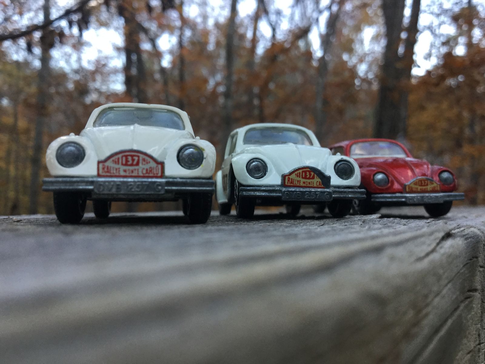 VW Beetle rally car. The one in the middle wasn’t from this HAWL, but the red and white one oj the left were.