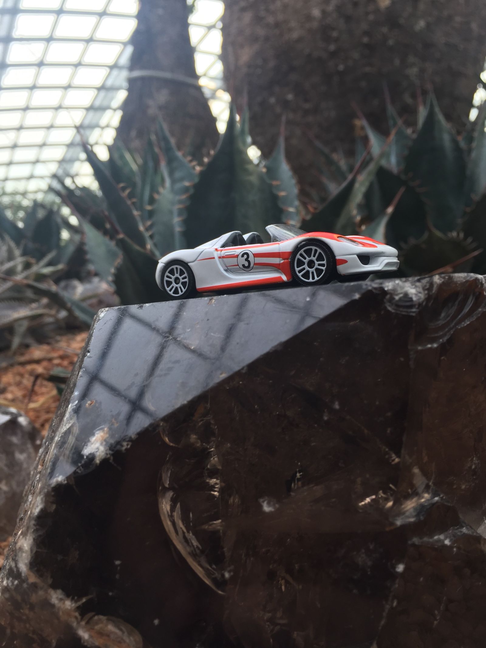 918 and cacti 