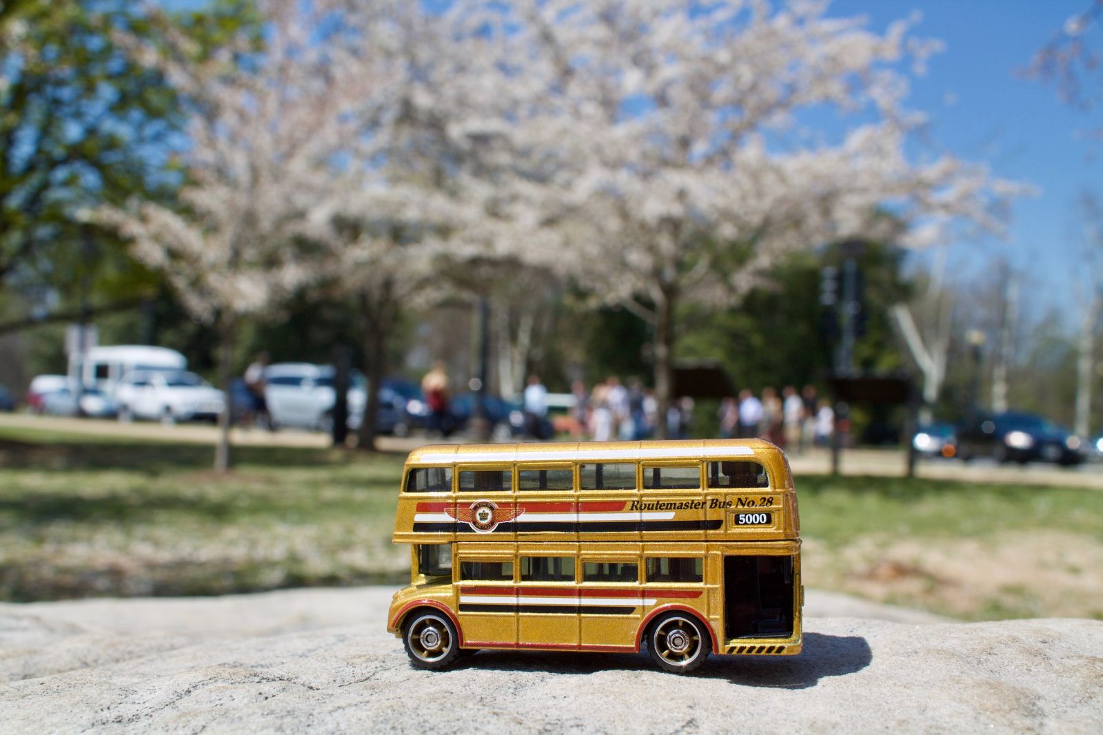 Illustration for article titled Cherry Blossom Festival Tour Bus