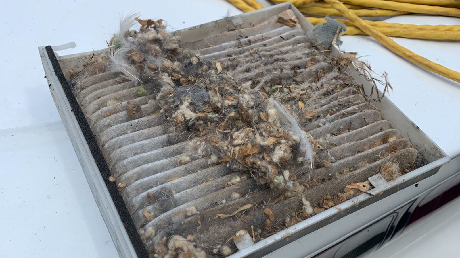 The Cabin air filter and whole blower motor had a gross mouse’s nest in it!