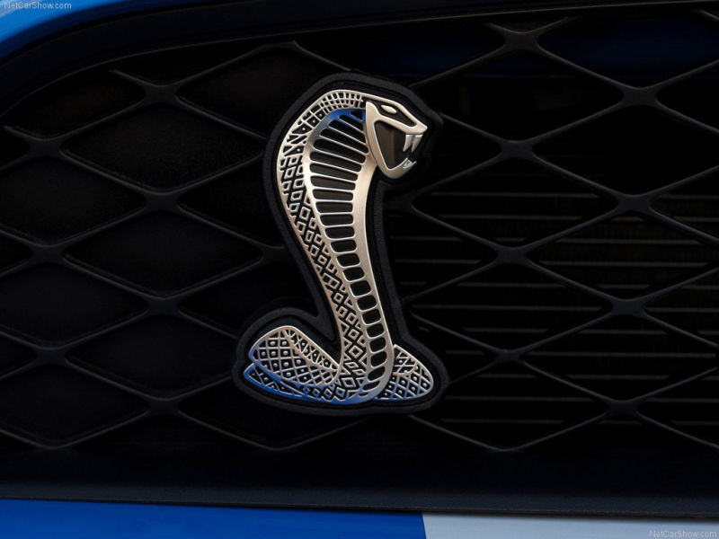 The expertly sculpted Shelby snake logos just seem like a finely crafted bow to end it all.