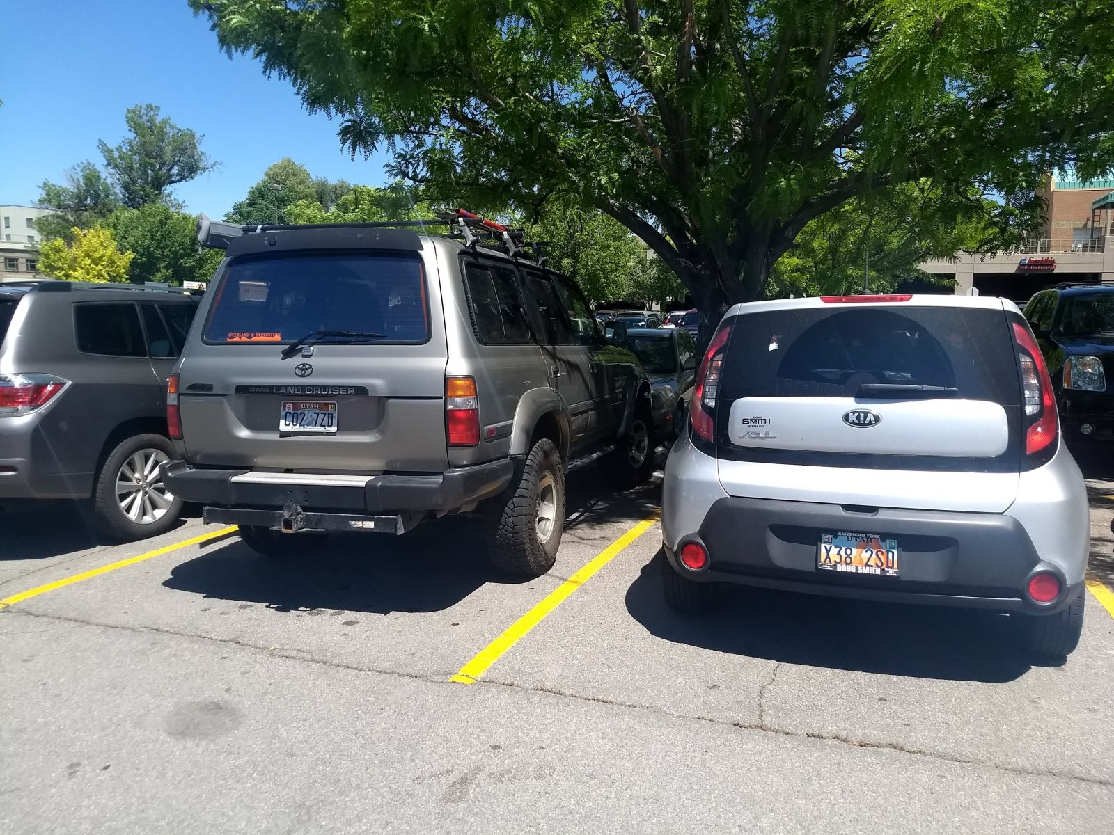 Just a couple of “SUV’s”, hanging out. Both vehicles are classified as light trucks, somehow.