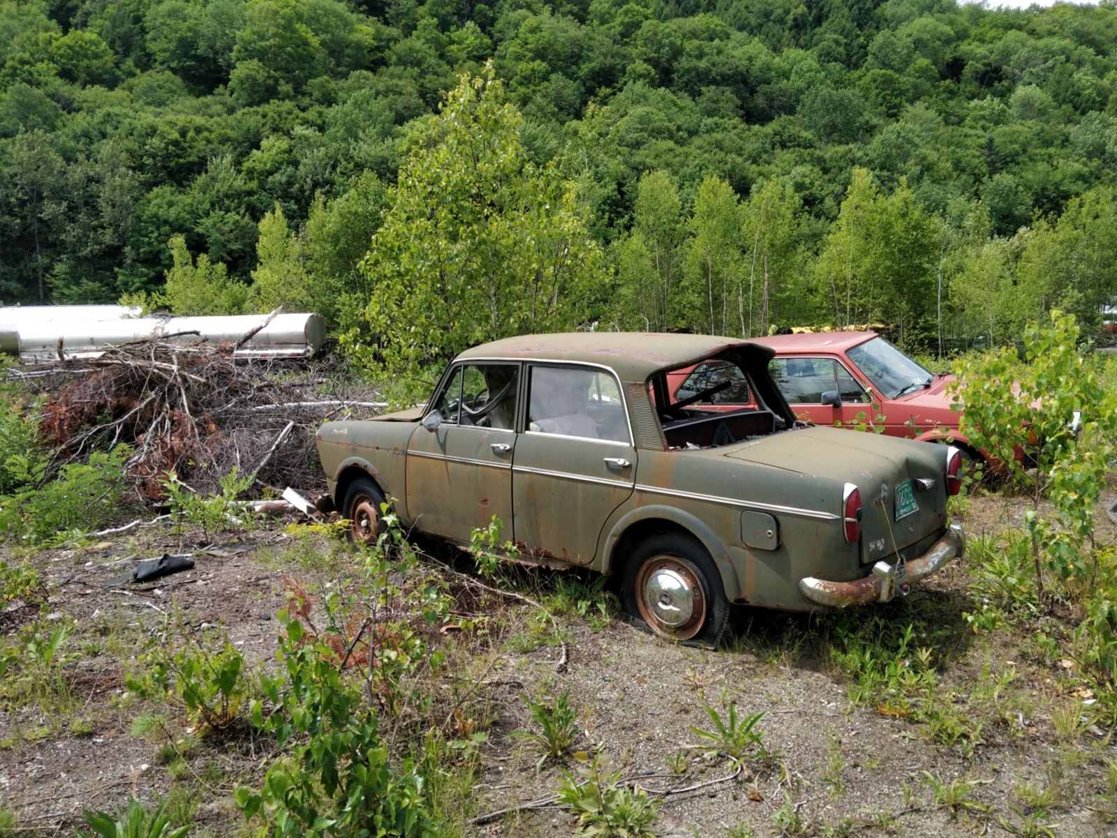 Another Fiat 1100, this later one yielded a functional dual-tone horn!