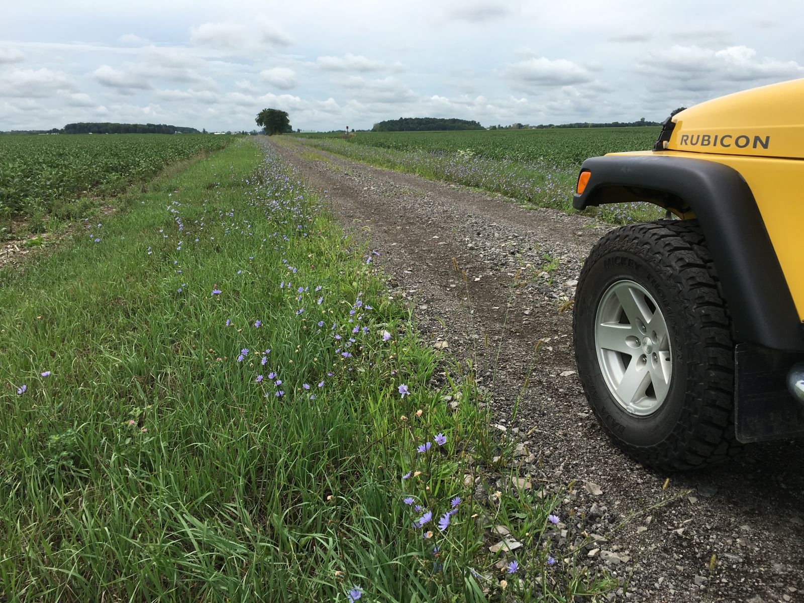 Middle of nowhere, Ohio. Any time I’m on a public road that looks nothing like a public road, I’m probably happy.