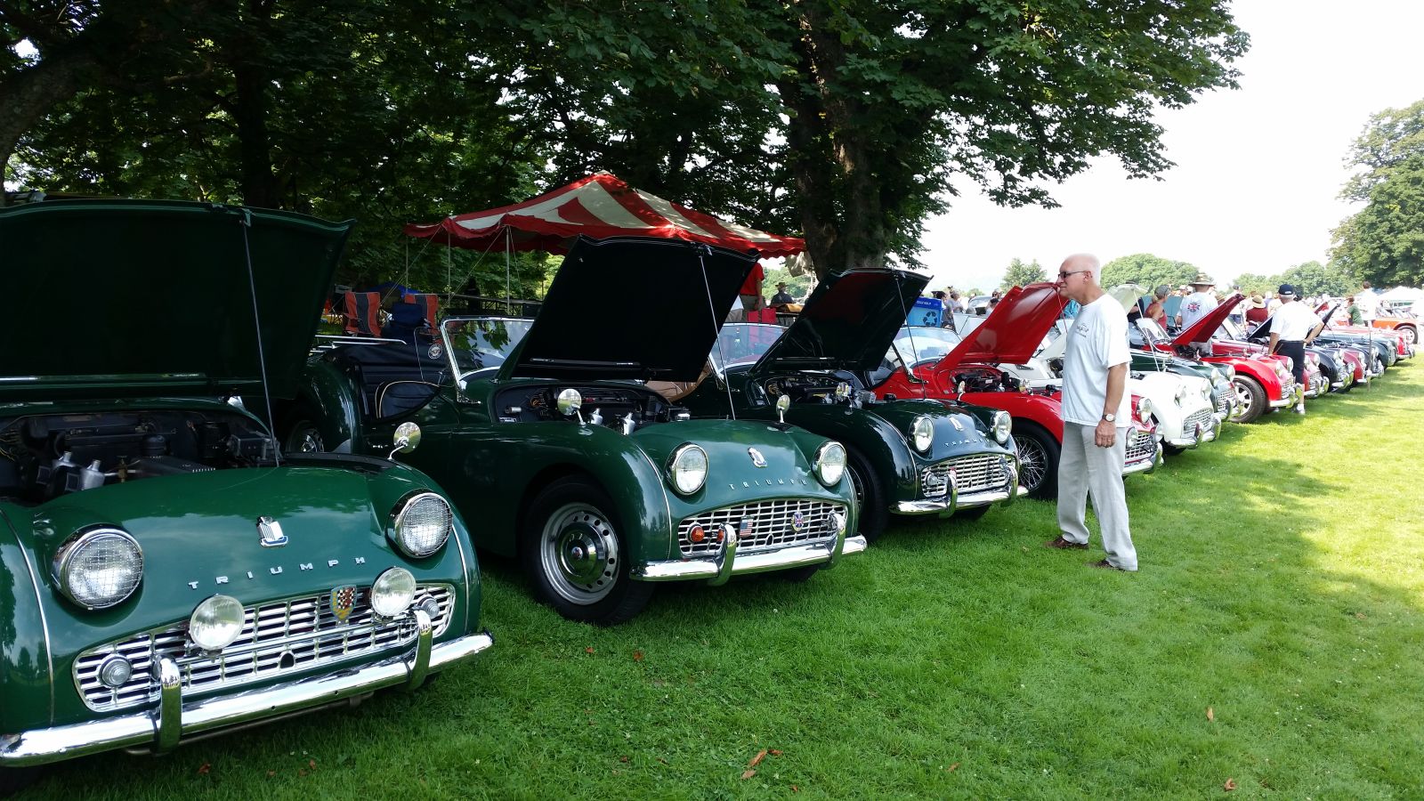 There is always an incredible number of old English cars at this show