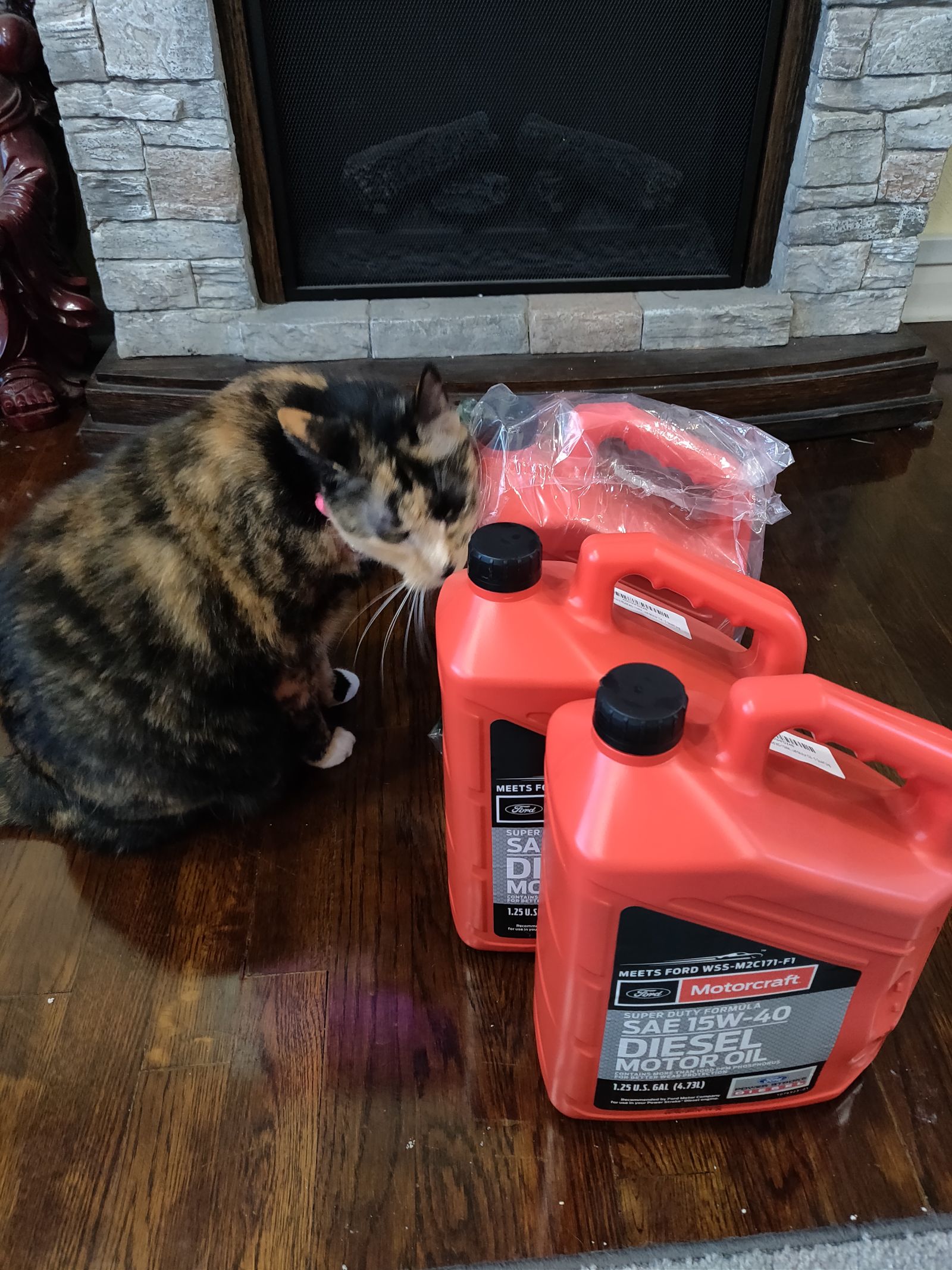 Illustration for article titled Just how much oil does a tortie take?