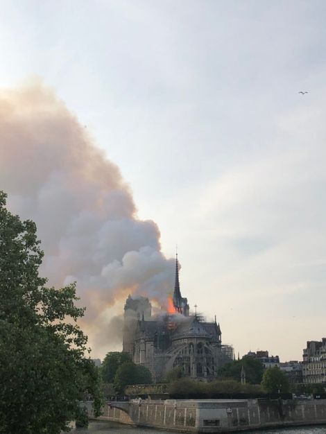 Illustration for article titled Notre Dame is Burning