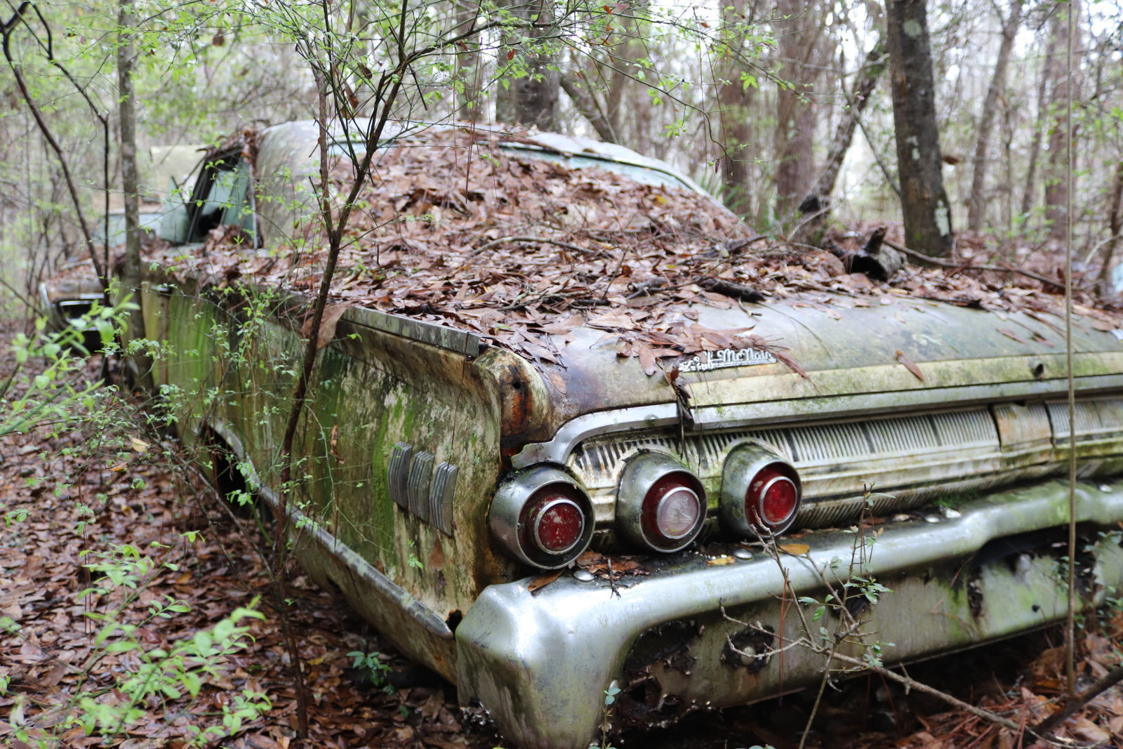 Illustration for article titled GHOST CARS ROTTING IN THE MISSISSIPPI SWAMP