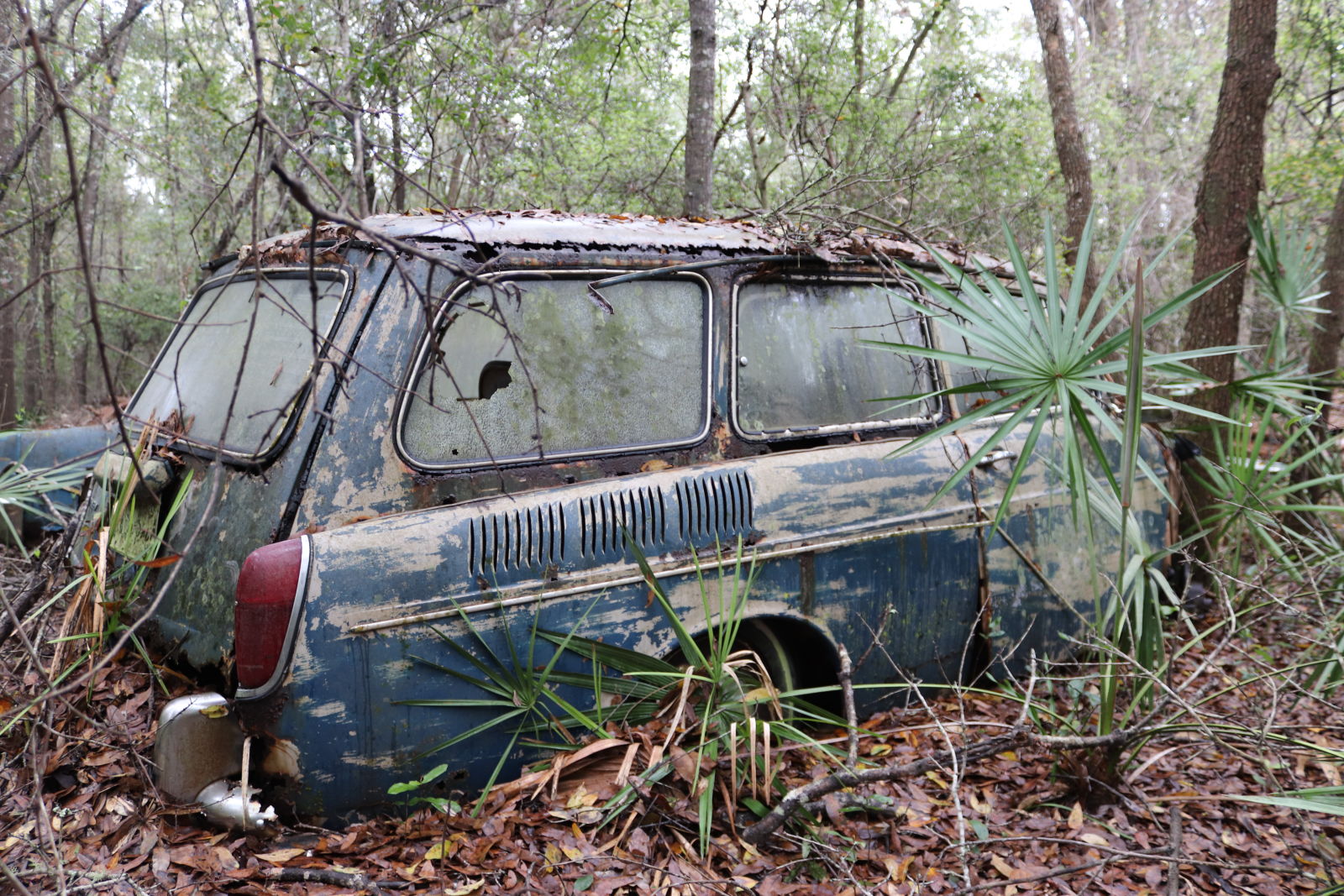 Illustration for article titled GHOST CARS ROTTING IN THE MISSISSIPPI SWAMP