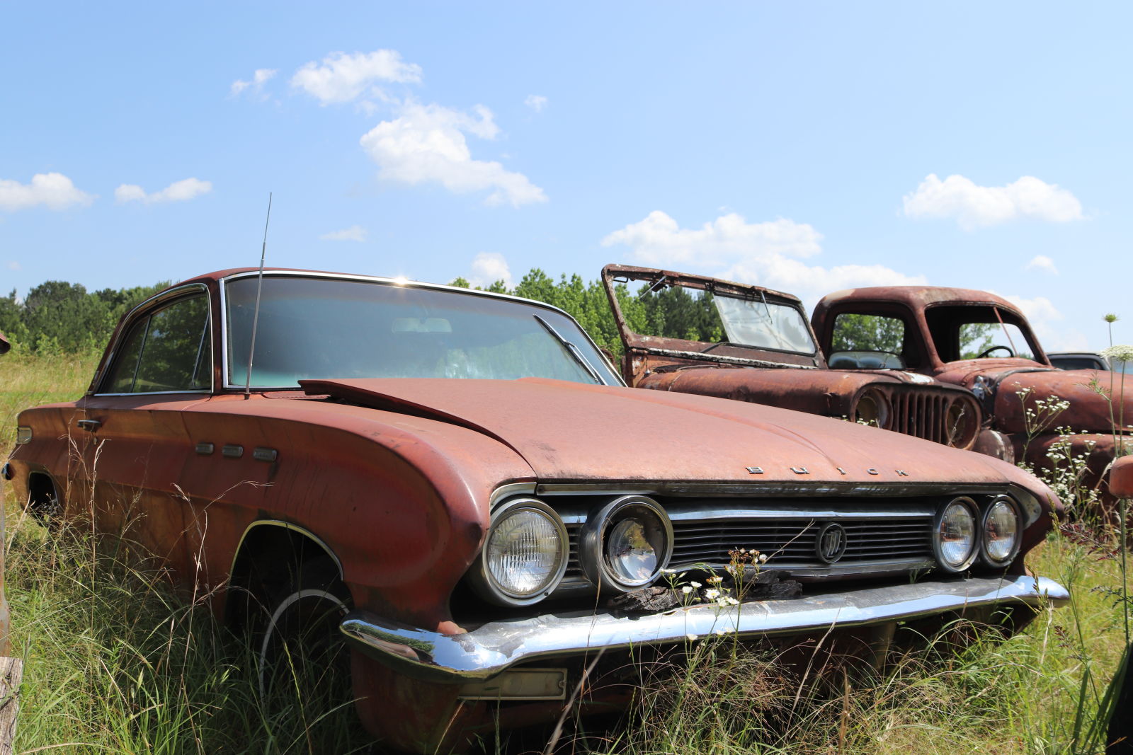 This 1962 Buick Skylark coupe was part of the hoard in the field.