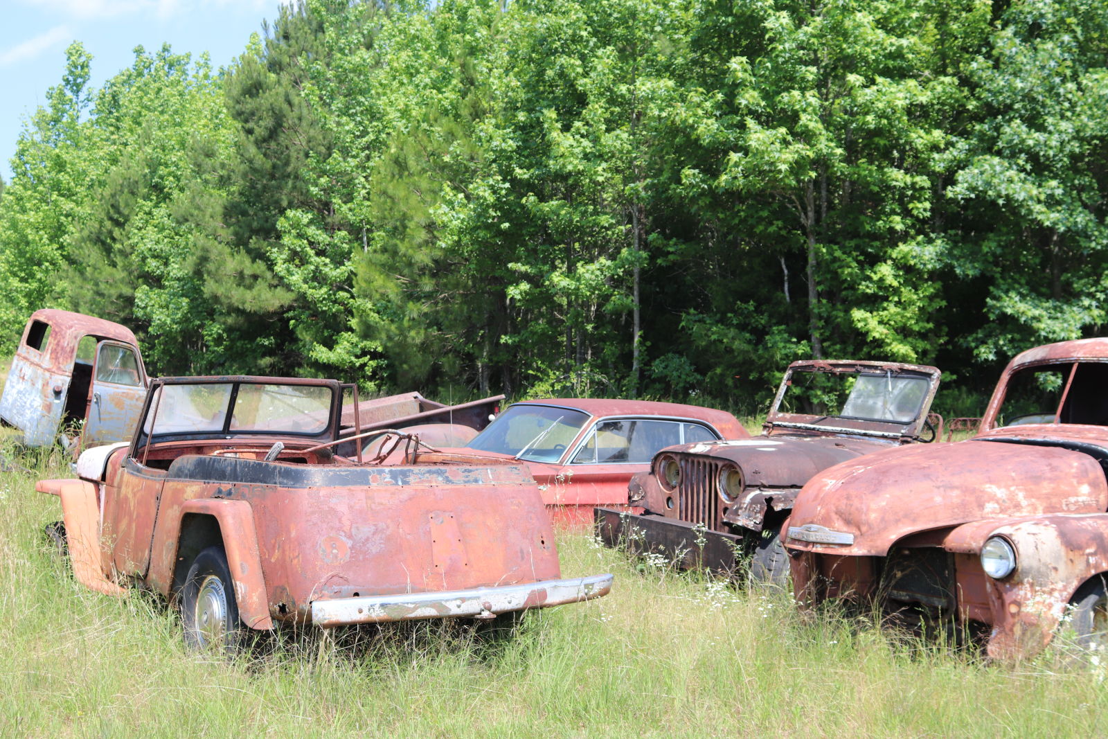 I found a nice hoard of old cars resting in a field. among them a Jeep Jeeepster, and old CJ.