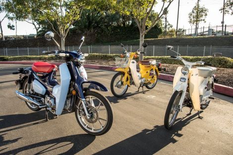 You can see the family resemblance. From left to right: 2019 Super Cub, 1980s C70, and an original 50.