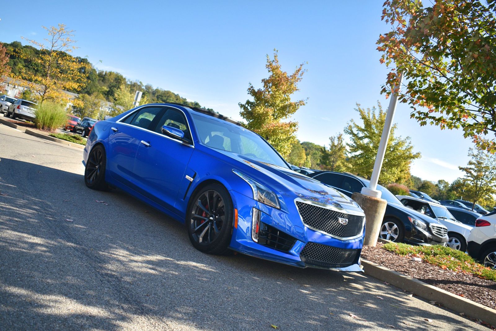 Never seen a prettier CTS-V color. Really transforms the look of the car, imo. 