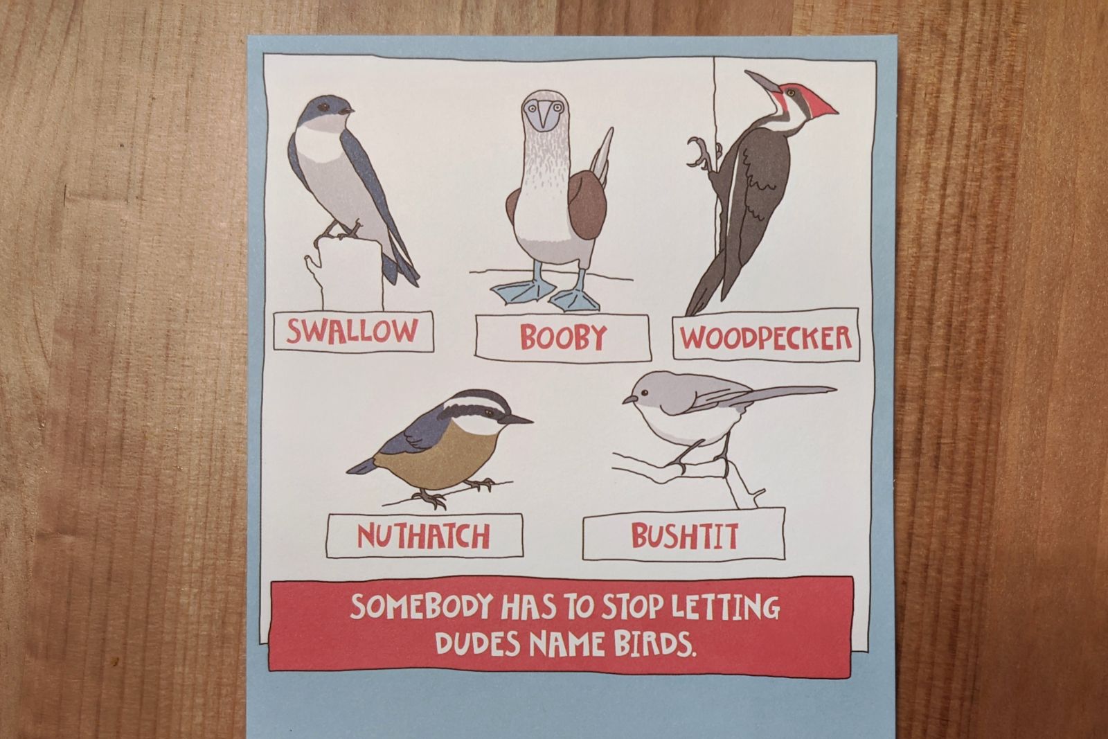 Illustration for article titled The card my wife gave me for my bday this year is relevant to your virtual lego birds