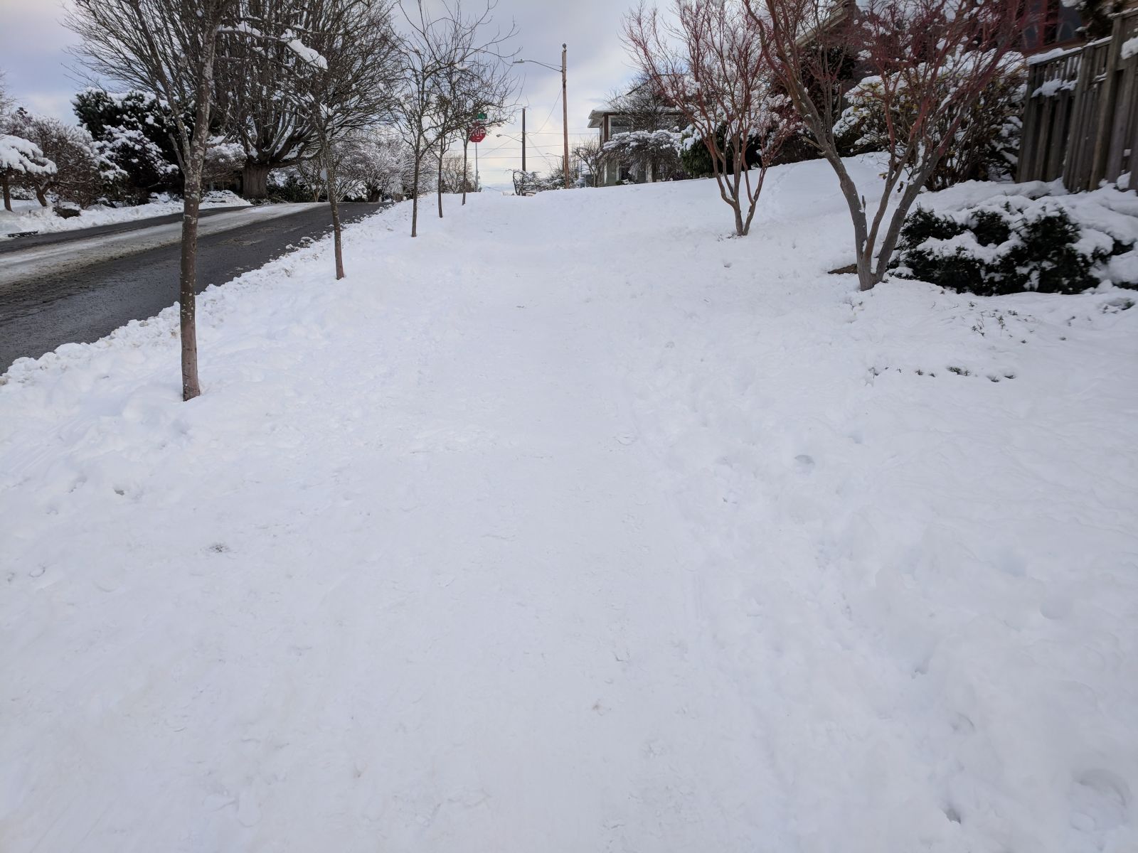 This one block inexplicably plowed but nothing else was... Also super-hidden sidewalk!
