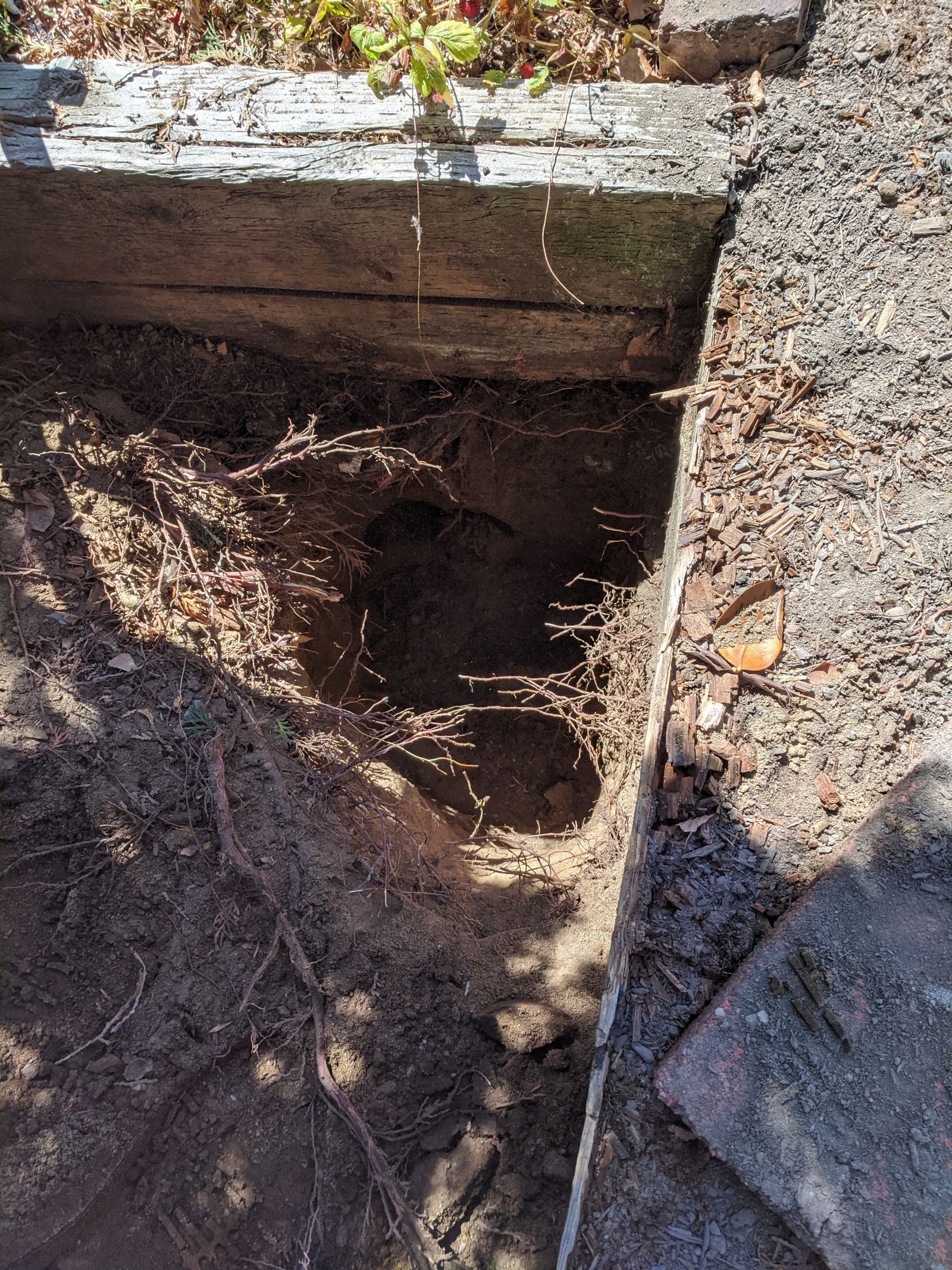Now you see the problem, yes? I had to dig a HUGE hole just to get to the old concrete, unless I wanted to break it up with a hammer (no). So now we have a hole that’s at least double the width of what we need.