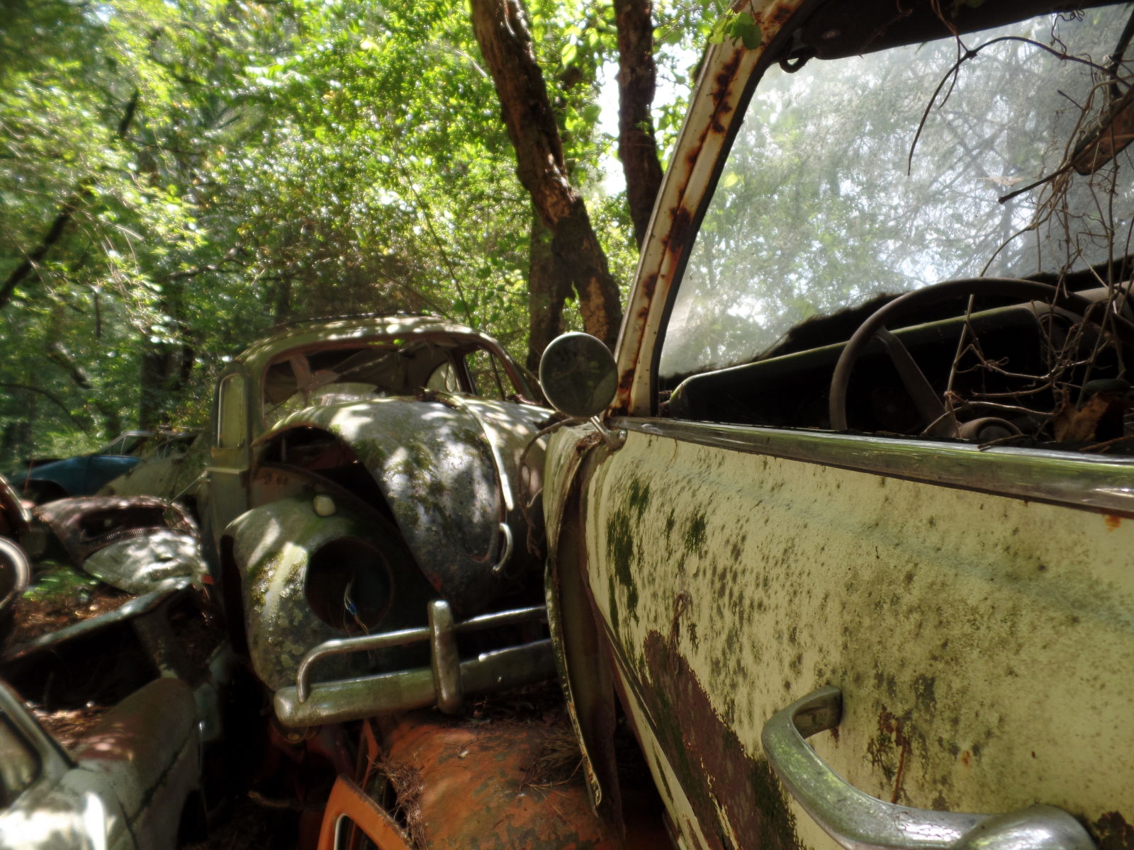 One of the best photo opportunities lies out of the way along the right side of the site as you enter. Here you will find most of the imports from foreign and domestic makes, including a Ford Anglia.