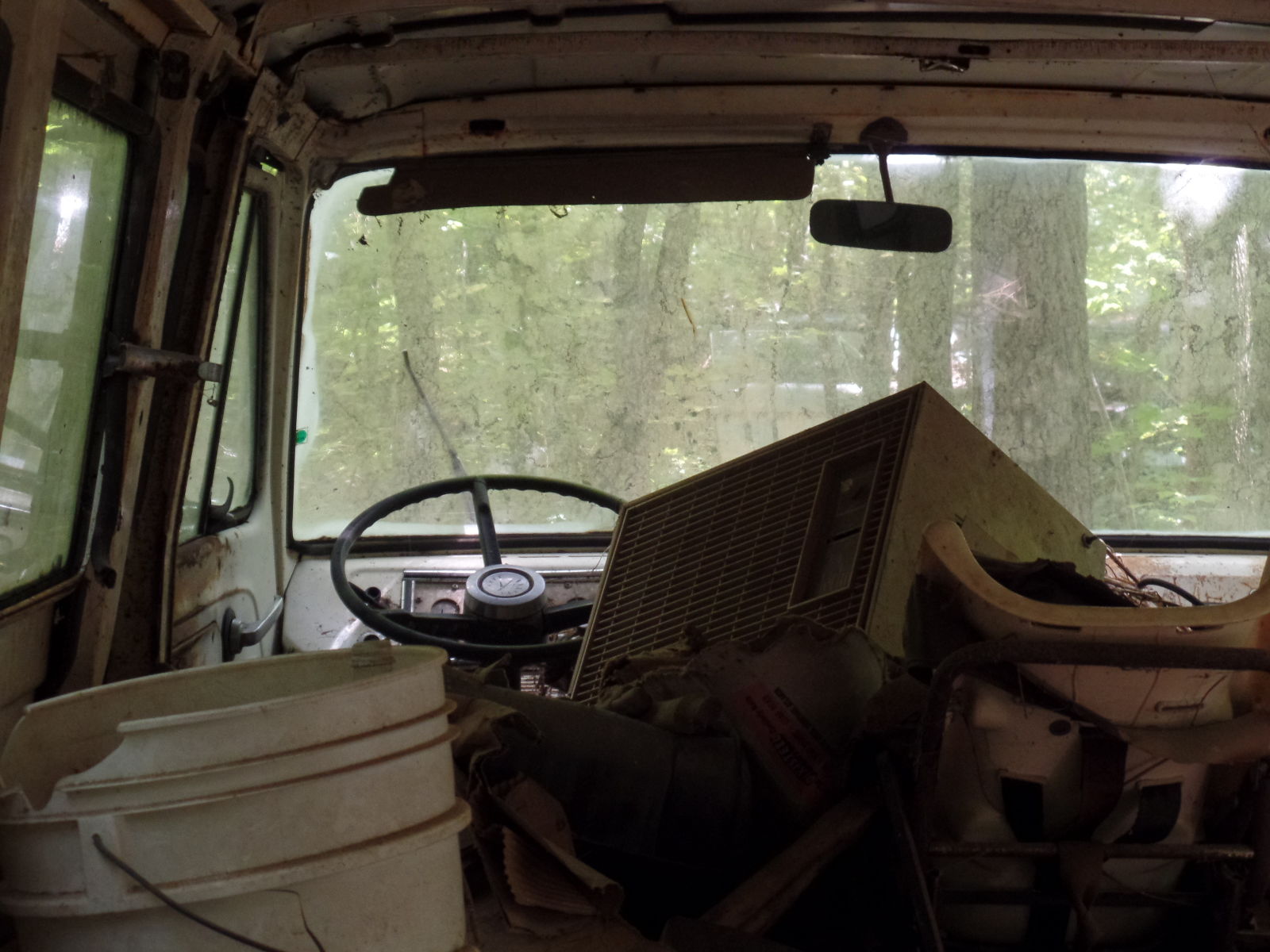 Many vans were once used as dry storage for parts taken off other cars. One van was filled to the roof with old oil cans, another chock full of old radios. Signs nailed to trees helpfully point to these mini attractions.