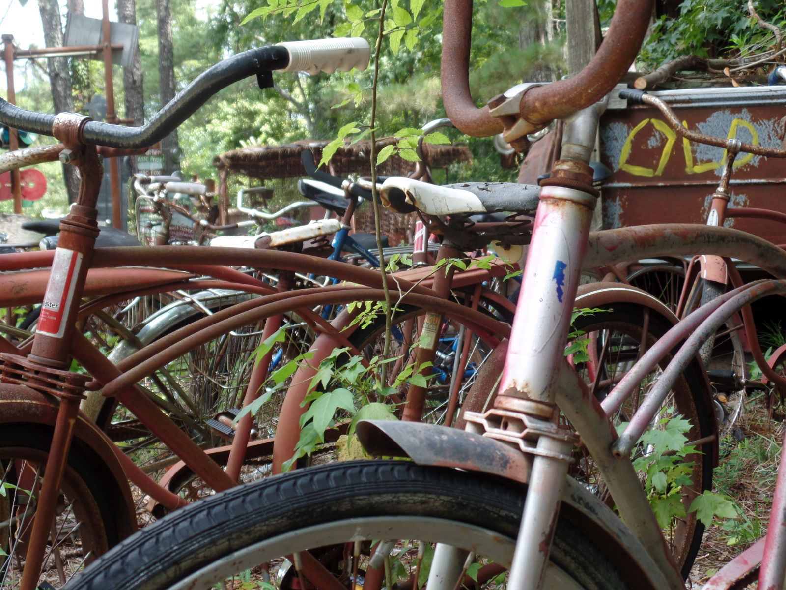 Many bicycles decompose alongside their 4 wheeled brethren