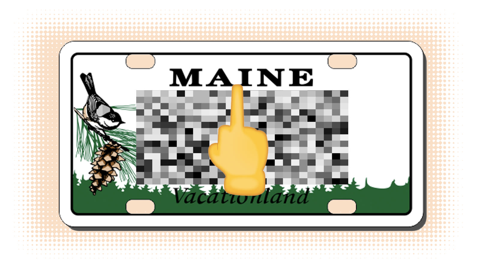 Illustration for article titled Its no surprise our license plate system is abysmal