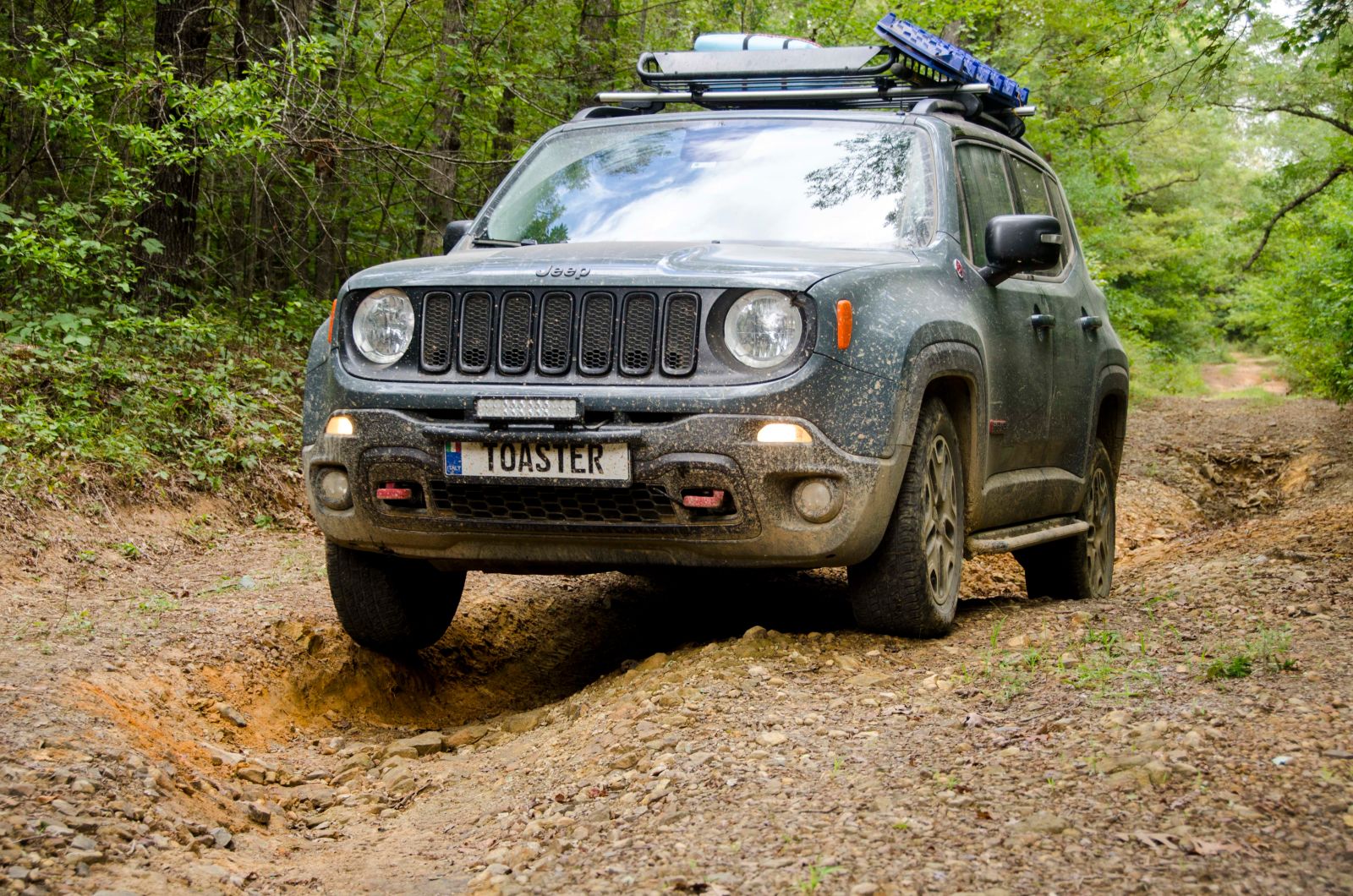 Illustration for article titled Off-roading in the Ouachita National Forest