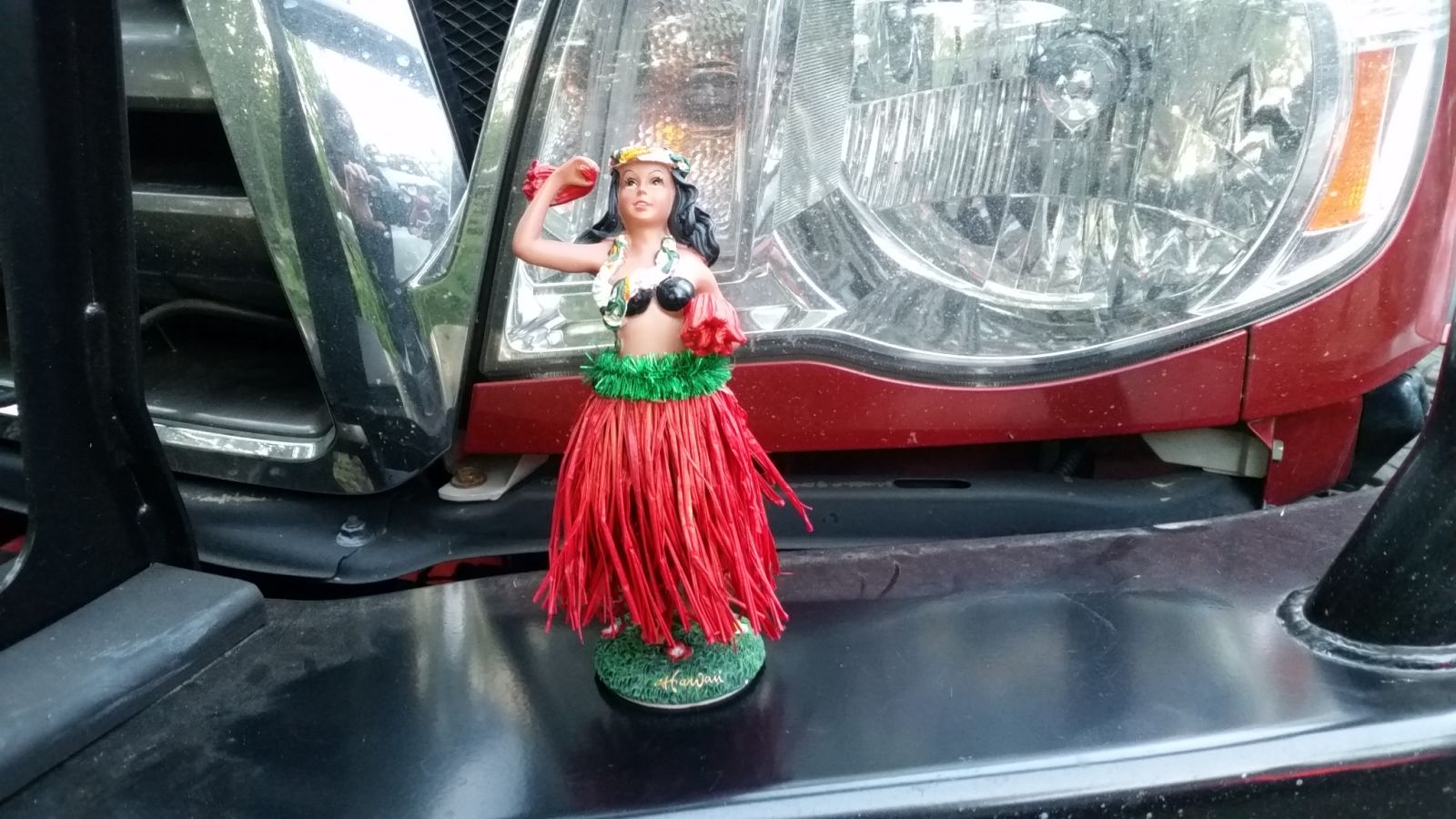Helena, the Hawaiian Goddess of Wheeling survived Jambo.