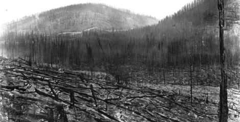 The Great Fire of 1910 (USFS)