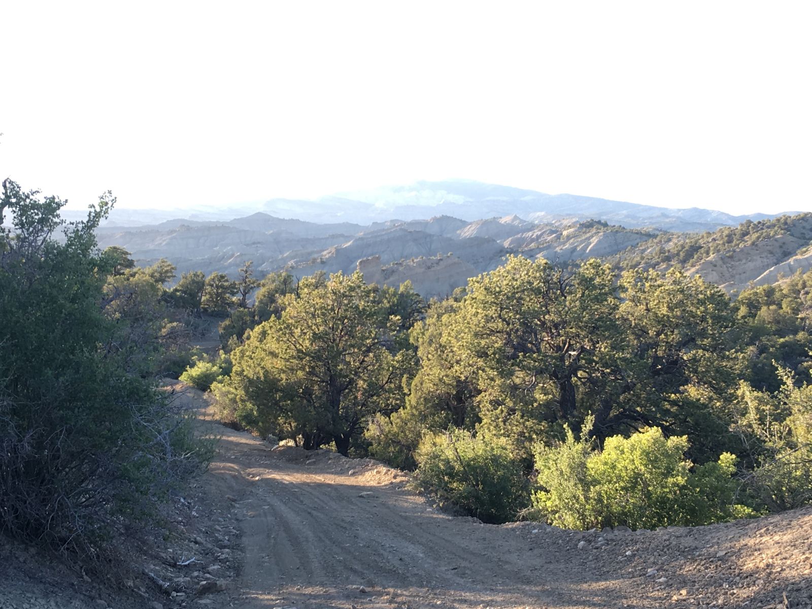 Down into Paradise Canyon.