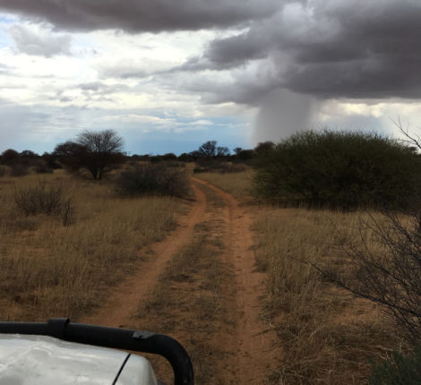 Cool temps, grey skies, and storms remained with us for all of our stay in the Kaa Region.
