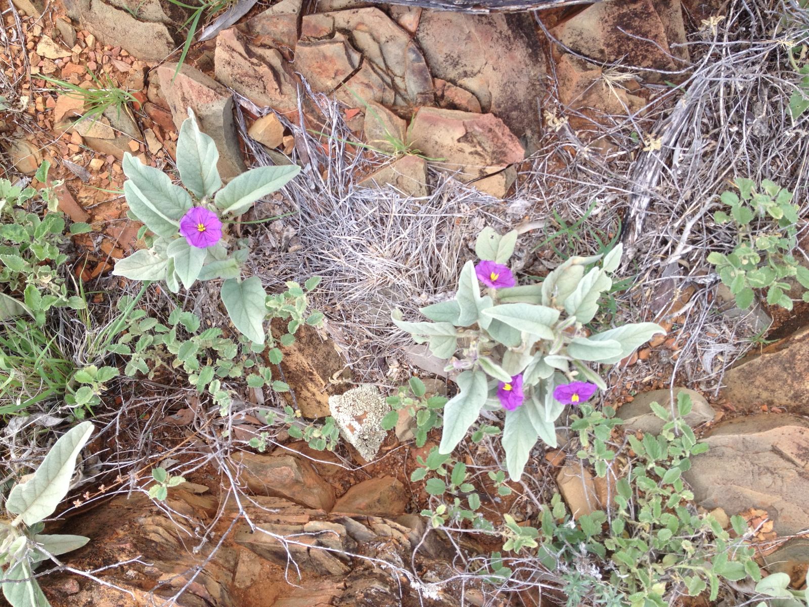 Illustration for article titled Arkaroola, An Ancient Wilderness