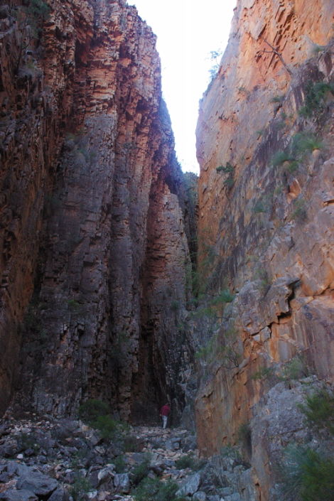 Illustration for article titled Arkaroola, An Ancient Wilderness