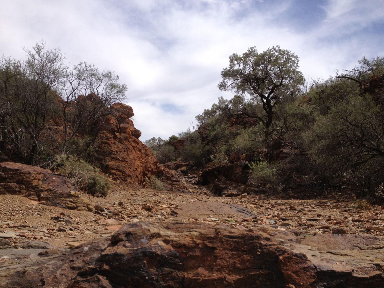 Illustration for article titled Arkaroola, An Ancient Wilderness