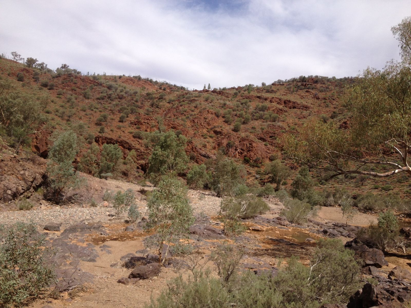 Illustration for article titled Arkaroola, An Ancient Wilderness