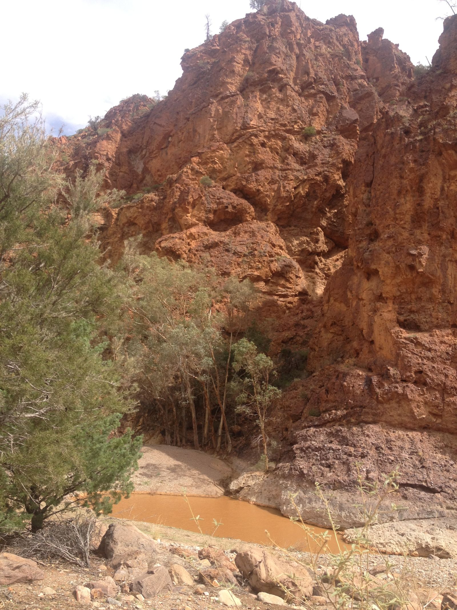 Illustration for article titled Arkaroola, An Ancient Wilderness