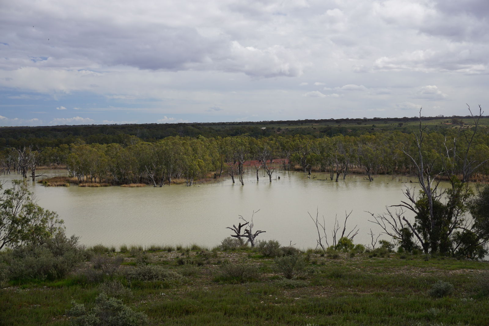 Illustration for article titled Roamin the Riverland.