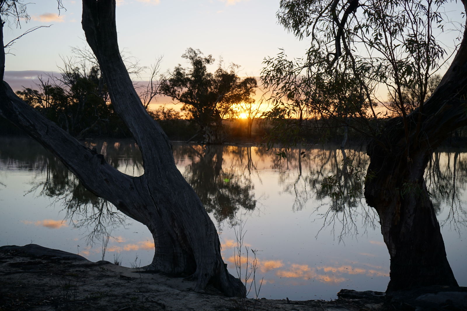 Illustration for article titled Roamin the Riverland.