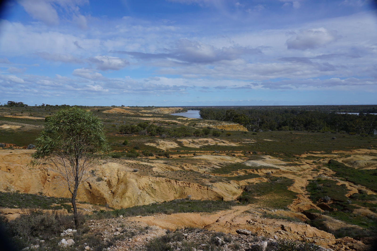 Illustration for article titled Roamin the Riverland.