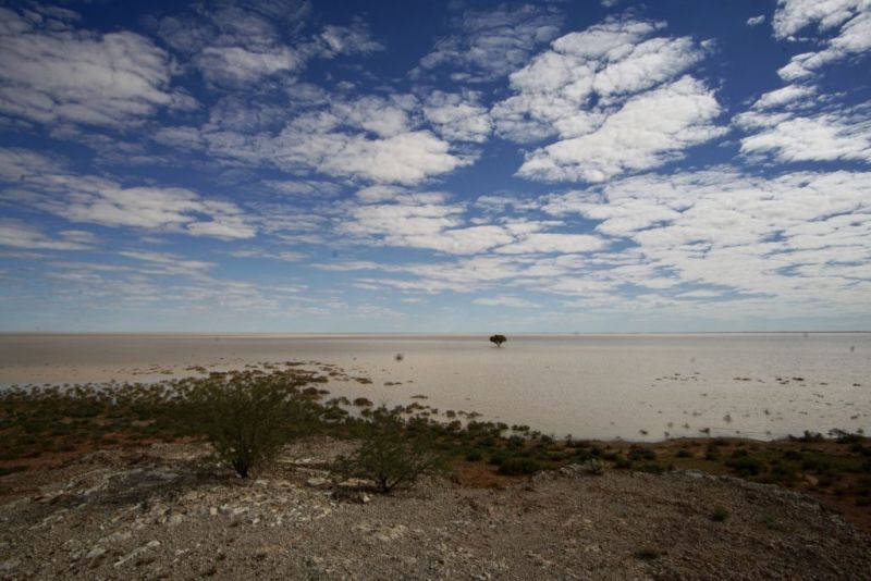 Illustration for article titled AWOL Around Australia... The Flooded Desert
