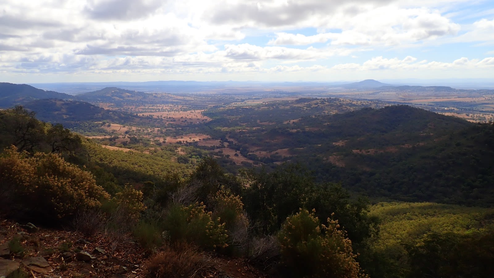 View of the Liverpool Plains northwards from the Coolah Tops National Park