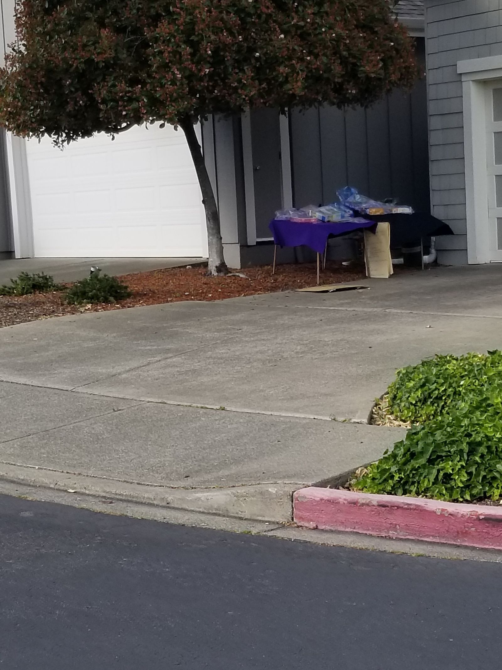 Anyone up for girl scout corona cookies? The boxes were in ziplock bags! That was optimistic....