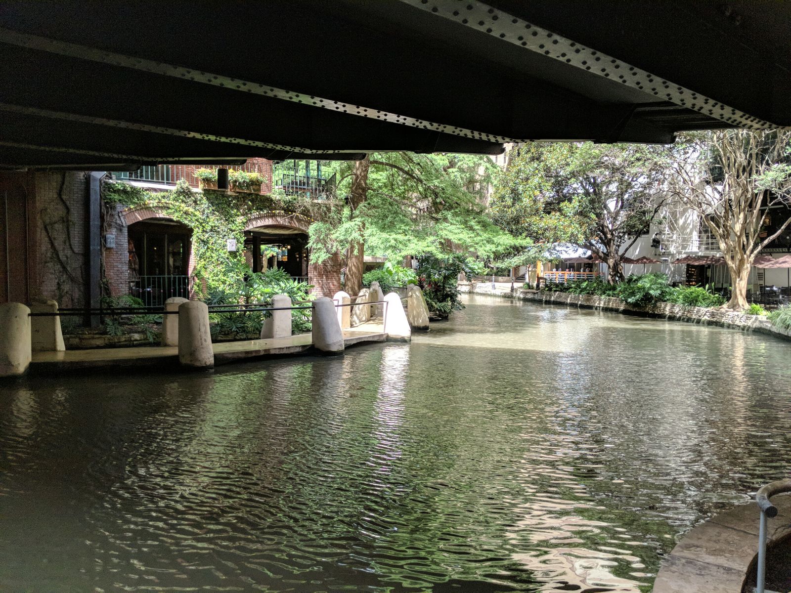 Illustration for article titled Pixel3 (non suffixed) on the Riverwalk + lunch.