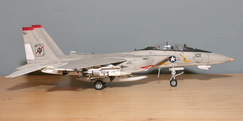 A full view of the F-15N Sea Eagle model