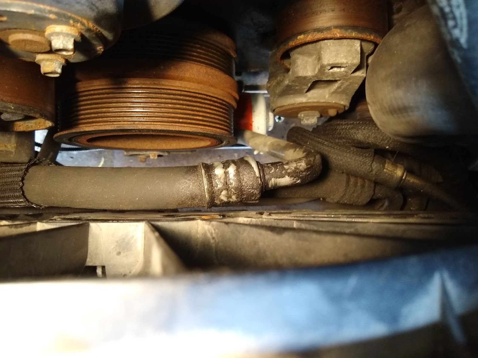 This slight wetness on the hose seems to indicate a weeping hose, but all of the other stuff around it also being gross might mean I had coolant leaking there?