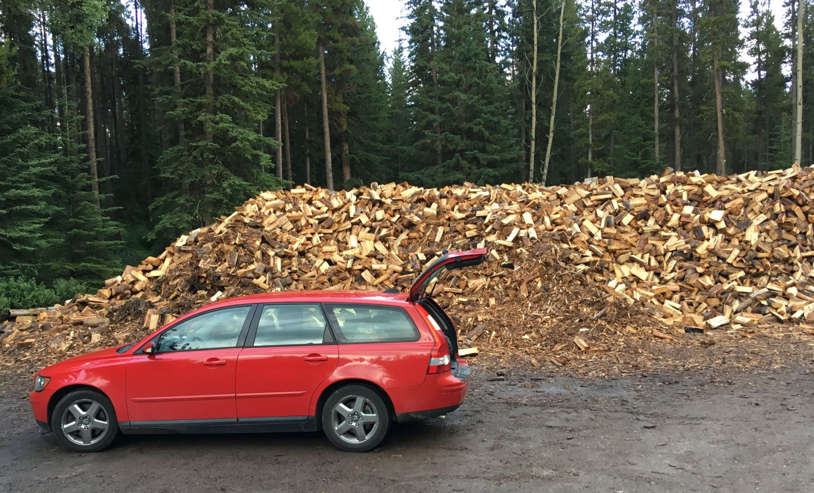 Illustration for article titled So It Turned Out This Is How You Get Firewood in Canadian National Parks