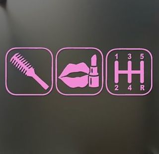 Illustration for article titled Female Car Enthusiast Rejects Gender-Specific Stickersem/em