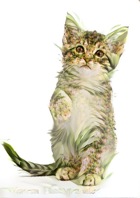 Illustration for article titled The amazing Pineapple Cats of Hawaii