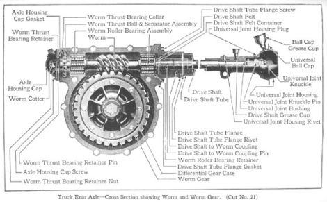 Illustration for article titled Put your rear in worm gear.