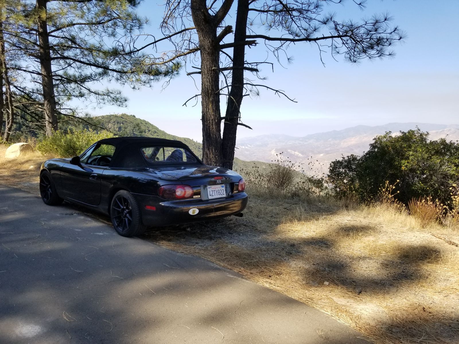 For all the flak they get, the Miata is a great car. Easily the best bang for your buck for a sports car and I think they are quite handsome cars as well.