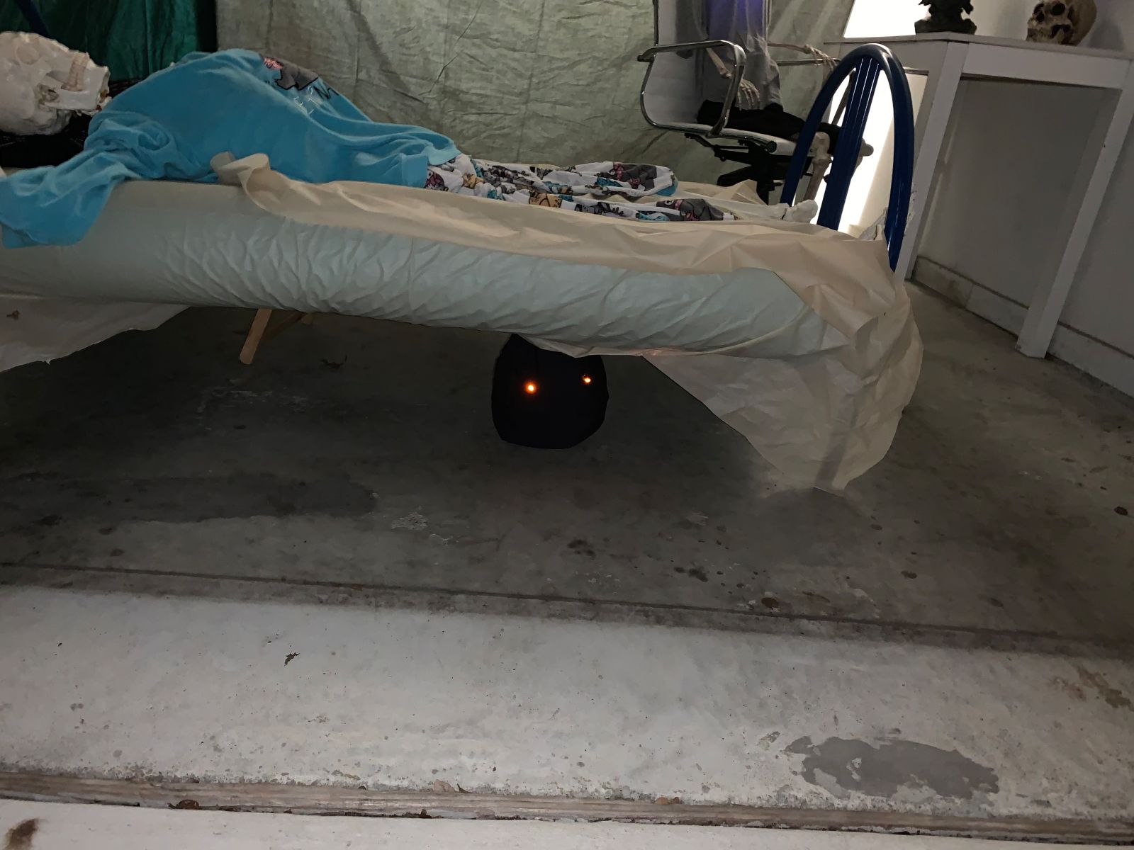 Something under the bed